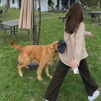 怪兽婆婆